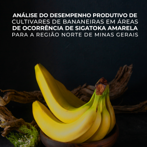 Análise do desempenho produtivo de cultivares de bananeiras em áreas de ocorrência de Sigatoka amarela para a região Norte de Minas Gerais