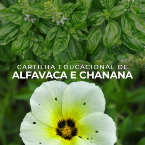 Cartilha educacional de Alfavaca e Chanana
