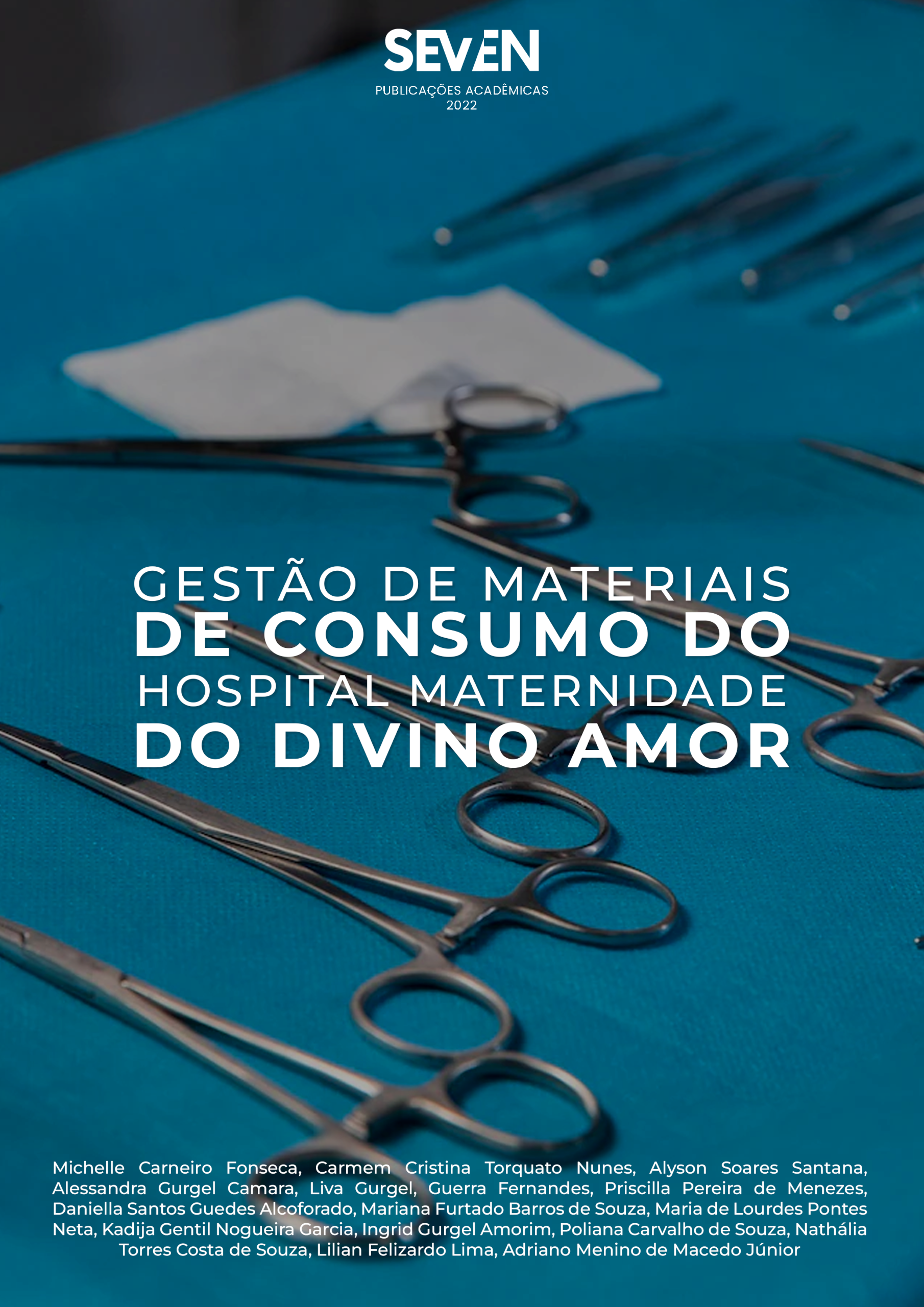Gestão de materiais de consumo do Hospital Maternidade do Divino Amor