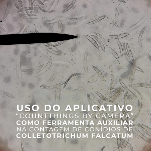 Uso do aplicativo “CountThings By Camera” como ferramenta auxiliar na contagem de conídios de Colletotrichum falcatum