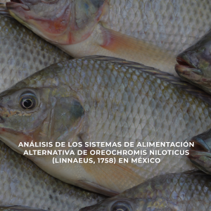 Análisis de los sistemas de alimentación alternativa de Oreochromis niloticus (Linnaeus, 1758) en México