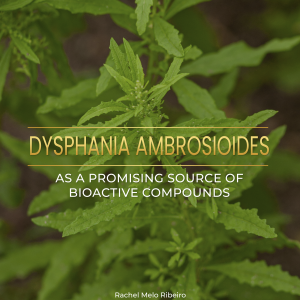 Dysphania ambrosioides as a promising source of bioative compounds