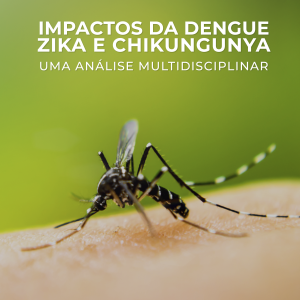 Impactos da dengue zika e chikungunya: uma análise multidisciplinar