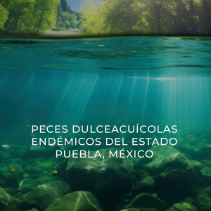 Peces dulceacuícolas endémicos del estado Puebla, México