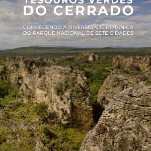 Tesouros Verdes do Cerrado: Conhecendo a Diversidade Botânica do Parque Nacional de Sete Cidades