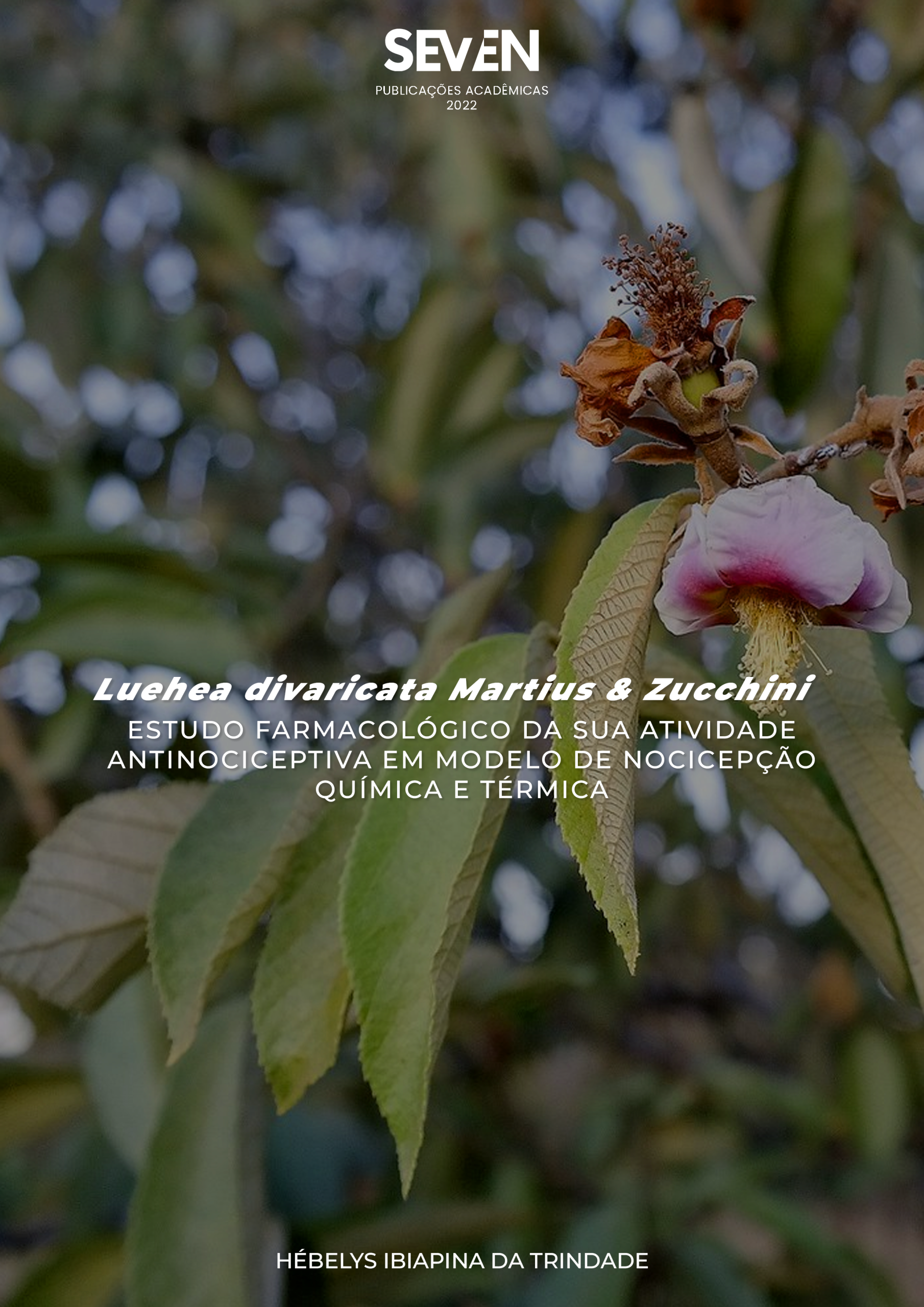 Luehea divaricata Martius & Zucchini: estudo farmacológico da sua atividade antinociceptiva em modelo de nocicepção química e térmica