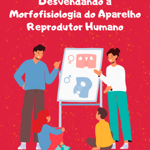 Desvendando a Morfofisiologia do Aparelho Reprodutor Humano