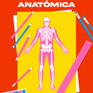 Ludicidade Anatômica