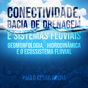 Conectividade, Bacia de Drenagem e Sistemas Fluviais: Geomorfologia, Hidrodinâmica e o Ecossistema Fluvial