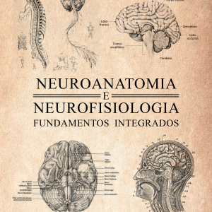 Neuroanatomia e Neurofisiologia: Fundamentos Integrados