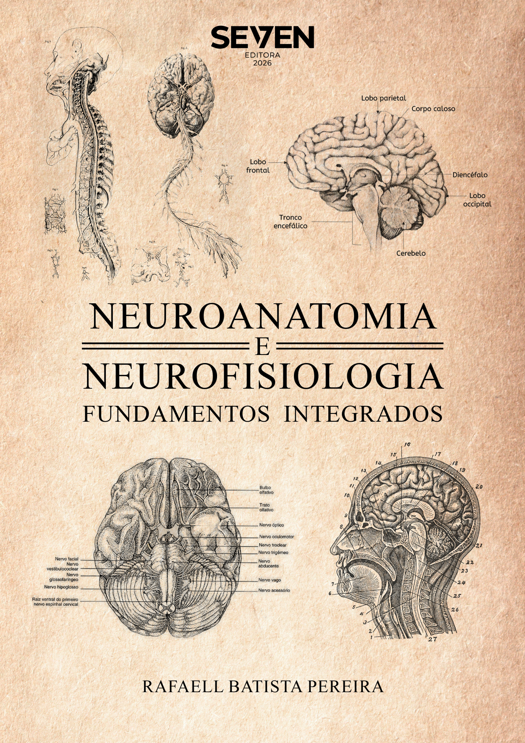 Neuroanatomia e Neurofisiologia: Fundamentos Integrados