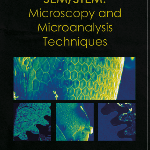SEM/STEM: Microscopy and Microanalysis Techniques