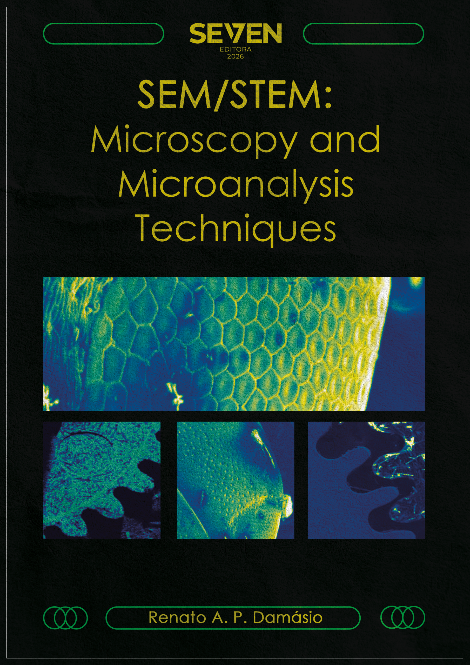 SEM/STEM: Microscopy and Microanalysis Techniques